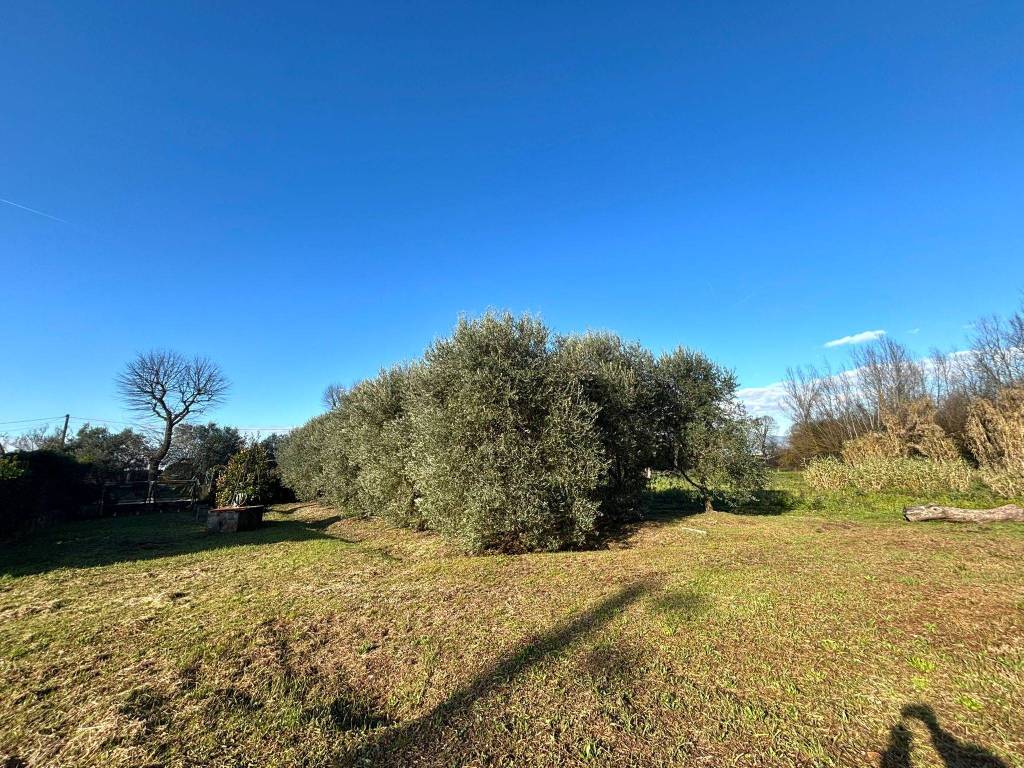 Terreno a Ponsacco in Via Valdera Pontedera - Foto 2