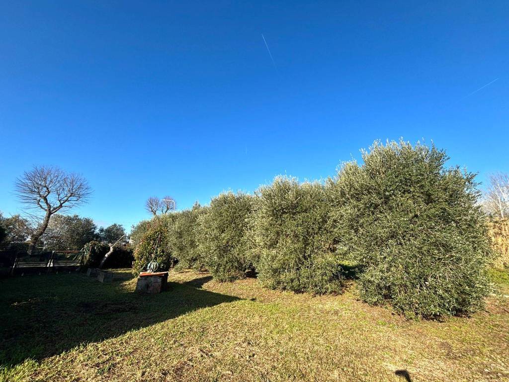 Terreno a Ponsacco in Via Valdera Pontedera - Foto 3