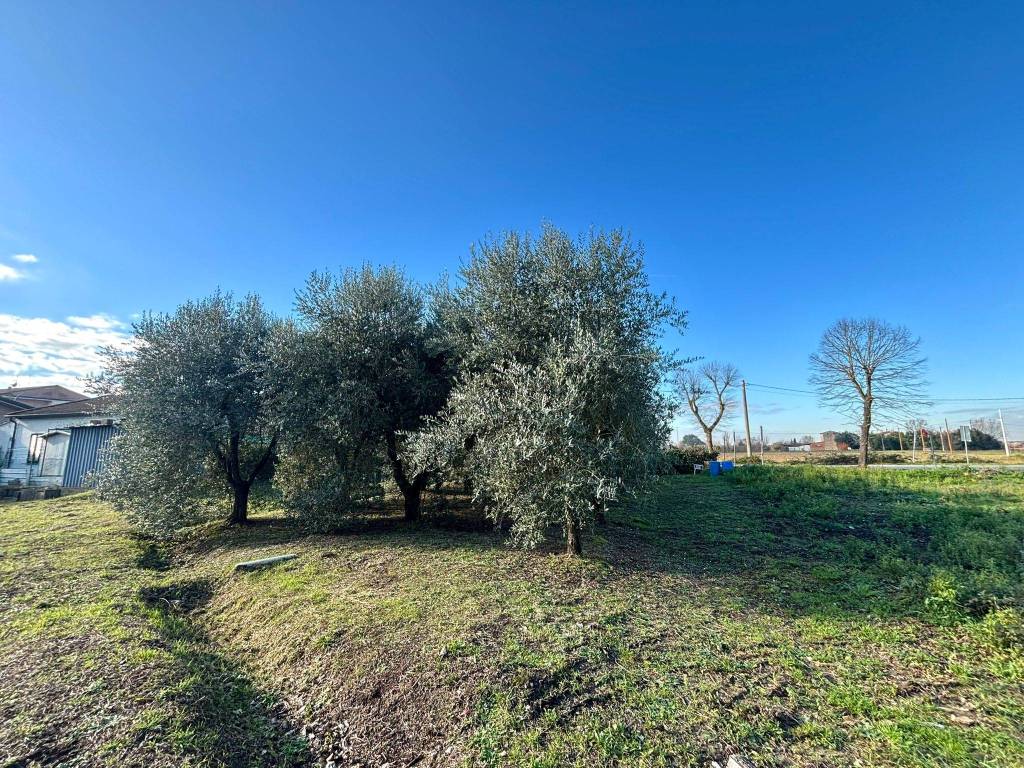 Terreno a Ponsacco in Via Valdera Pontedera - Foto 4