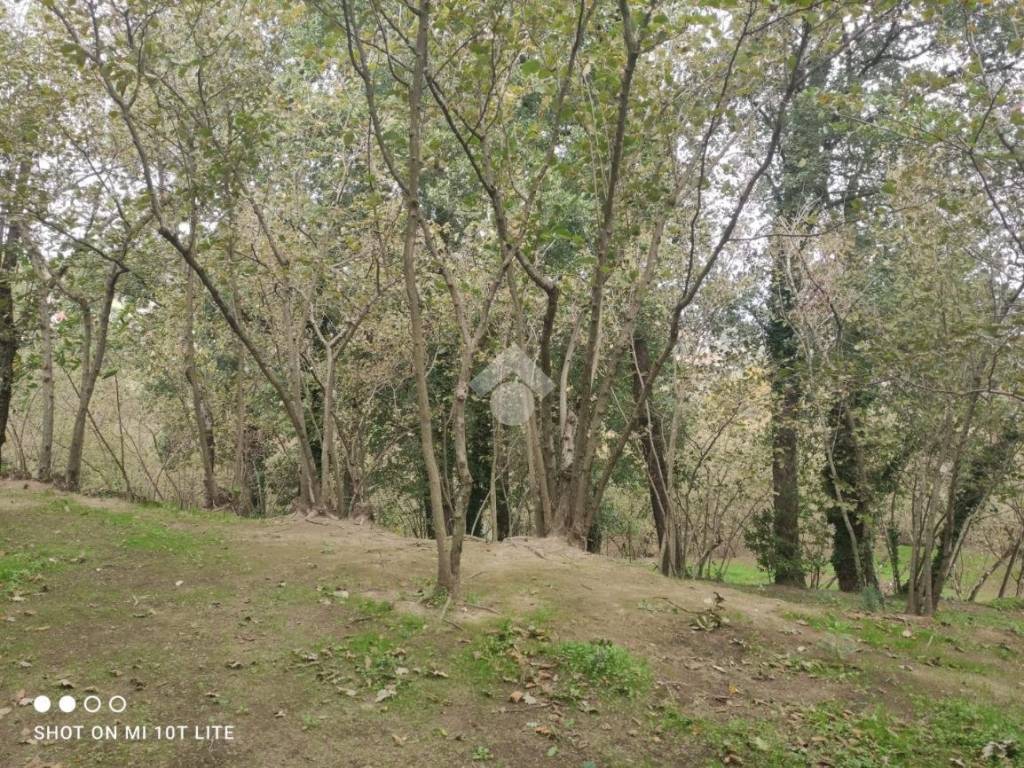 Terreno a Aiello del sabato in Via Bosco - Foto 2