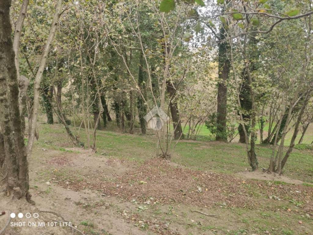 Terreno a Aiello del sabato in Via Bosco - Foto 3