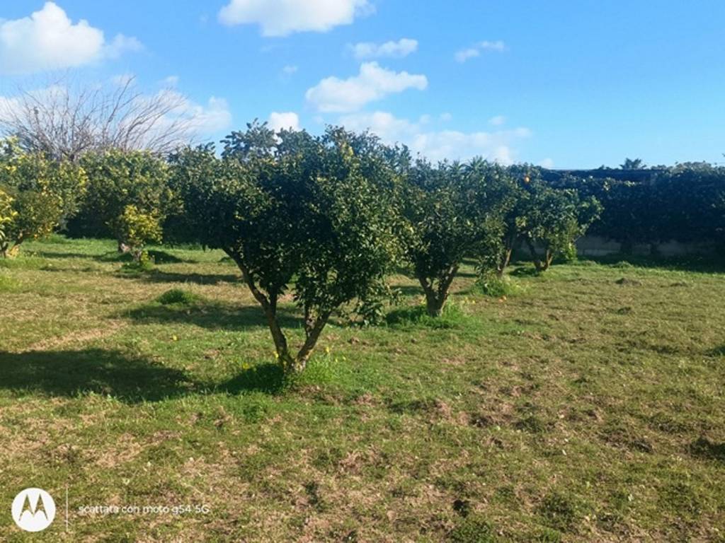 Terreno a Ispica in Via delle Palme - Foto 2