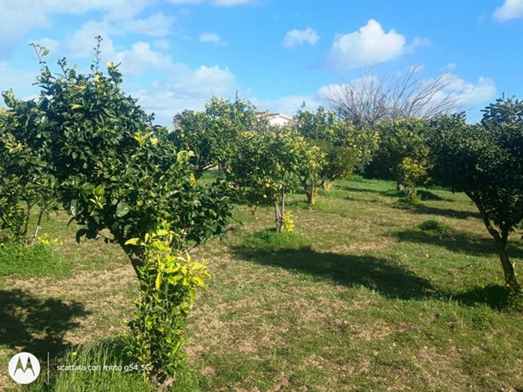 Terreno a Ispica in Via delle Palme - Foto 3