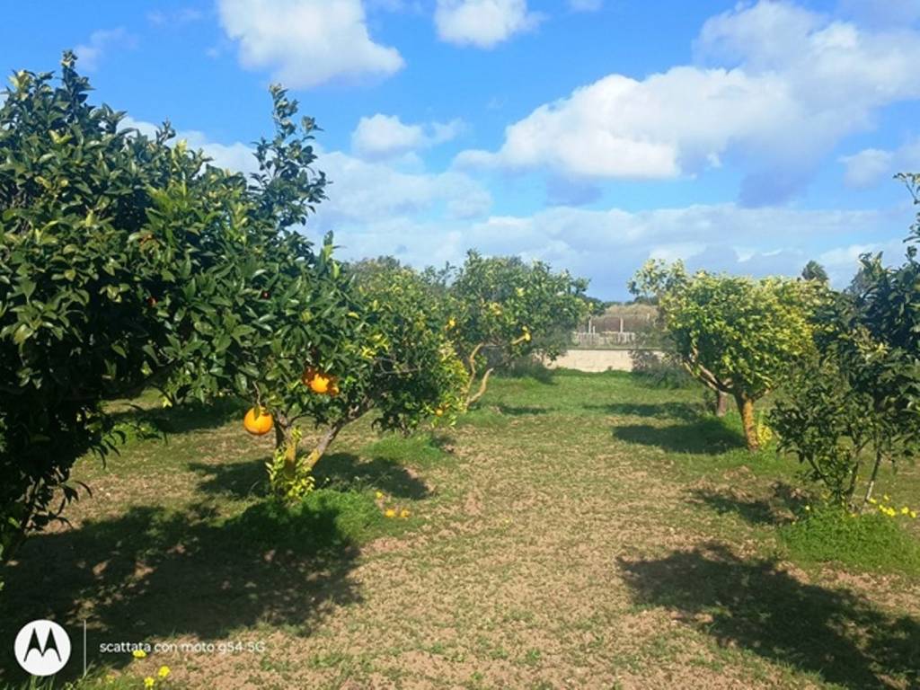 Terreno a Ispica in Via delle Palme - Foto 4