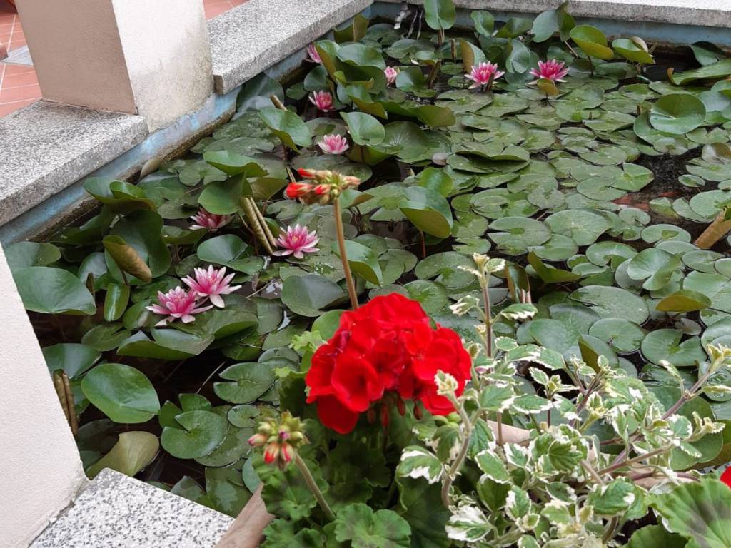 Villa a Riccione in Viale Luigi Settembrini - Foto 4