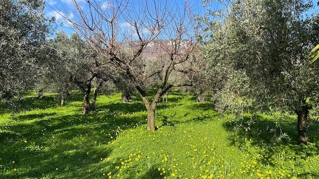 Terreno a Campagna in Via Cappella, 23 - Foto 4