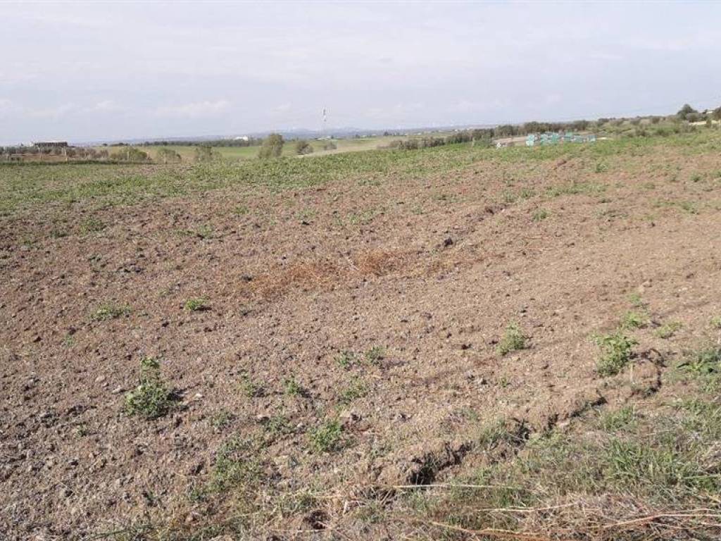Terreno a Tuscania in Via dell'Olivo - Foto 2