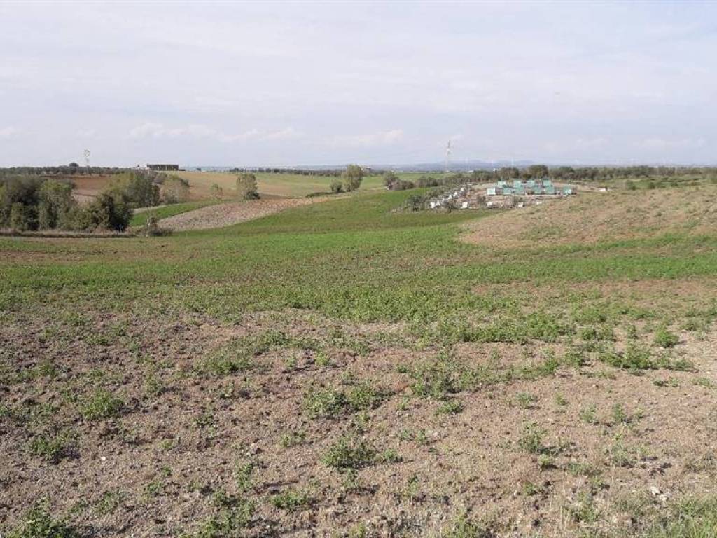 Terreno a Tuscania in Via dell'Olivo - Foto 5