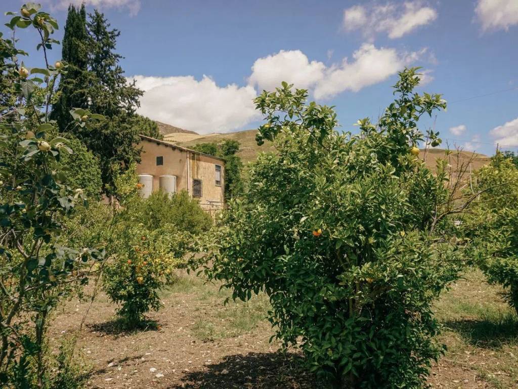 Villa a Cammarata - Foto 4