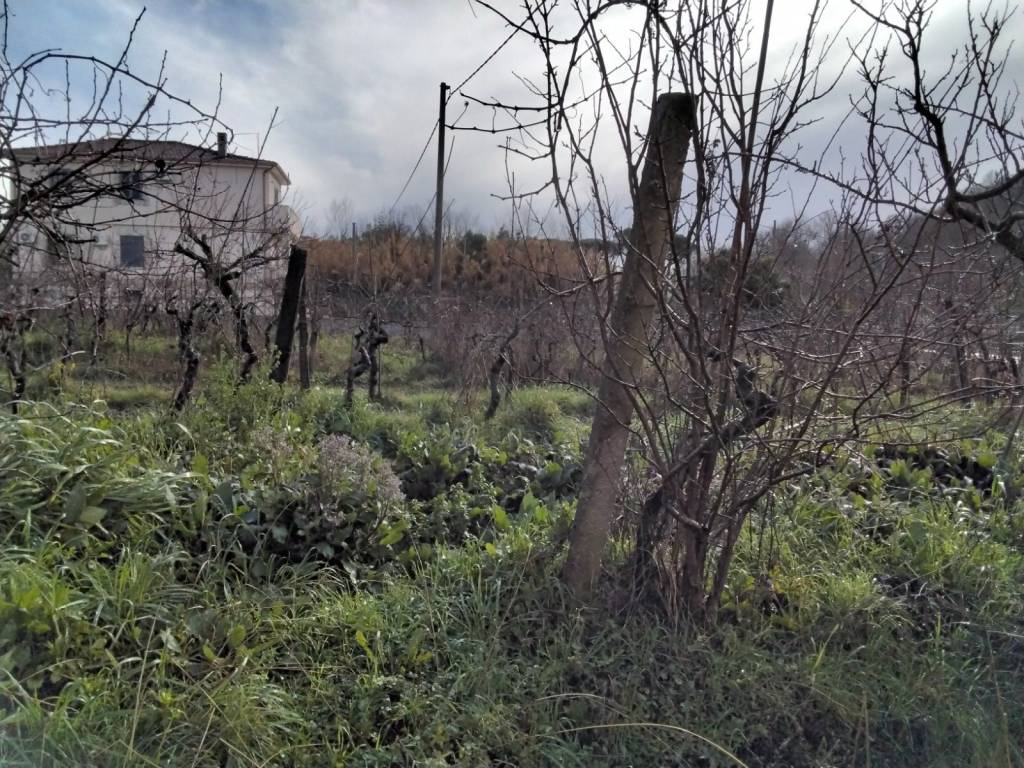 Palazzo / stabile a Cassino - Foto 3