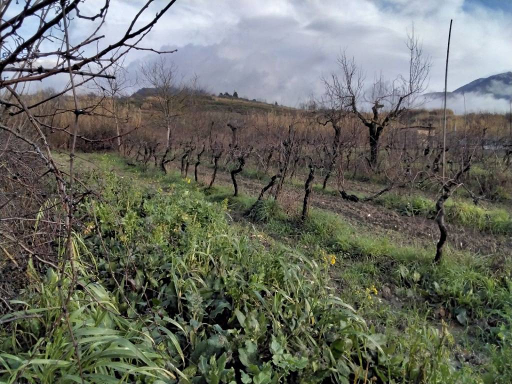 Palazzo / stabile a Cassino - Foto 4