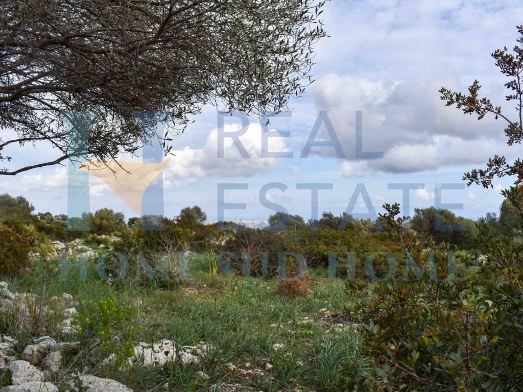 Rustico / casale a Noto in Via Tommaso Fazello, 228 - Foto 4
