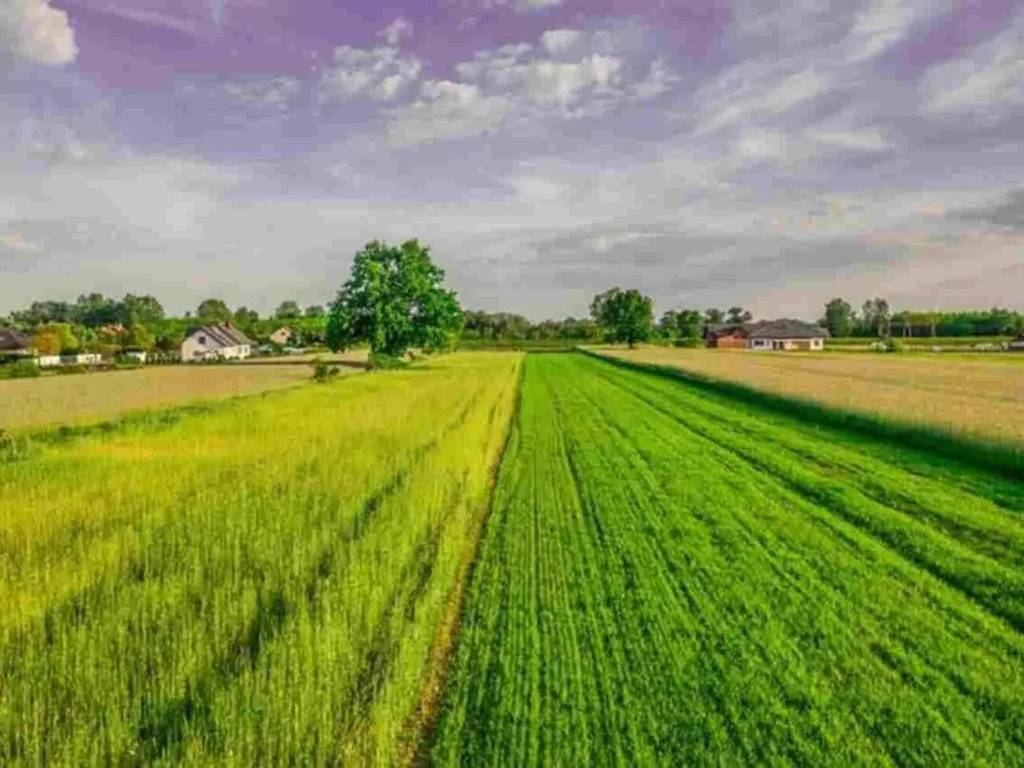 Terreno a Cascina in Via C. Menotti - Foto 3