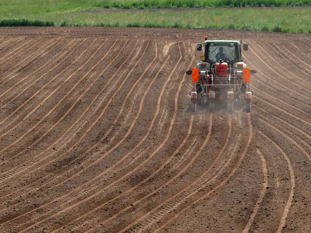 Terreno a Cascina in Via C. Menotti - Foto 4