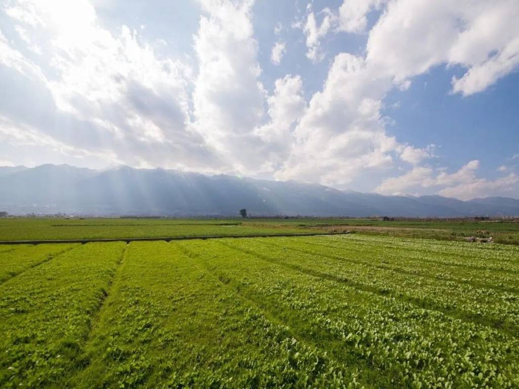 Terreno a Cascina in Via C. Menotti - Foto 5