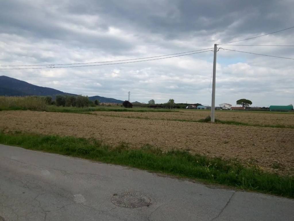 Terreno a Cascina in San Lorenzo A Pagnatico No Number - Foto 2