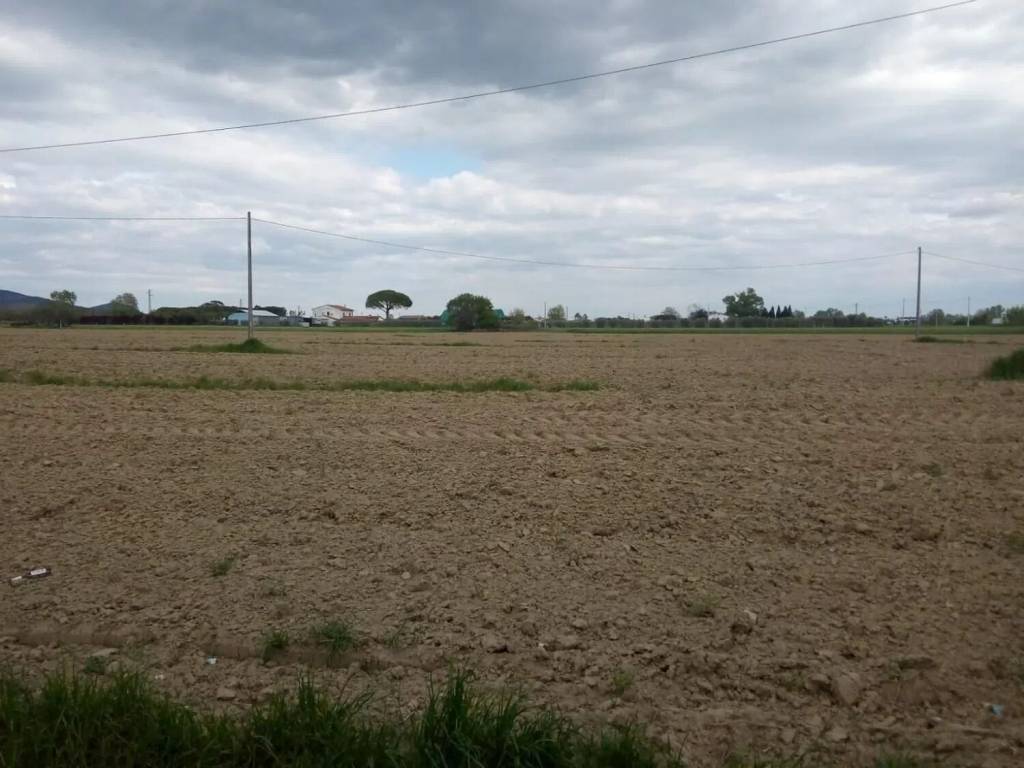 Terreno a Cascina in San Lorenzo A Pagnatico No Number - Foto 3