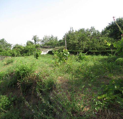 Rustico / casale a Mascali in Via Montarsi - Foto 4