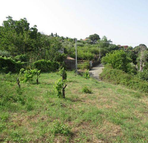 Rustico / casale a Mascali in Via Montarsi - Foto 5