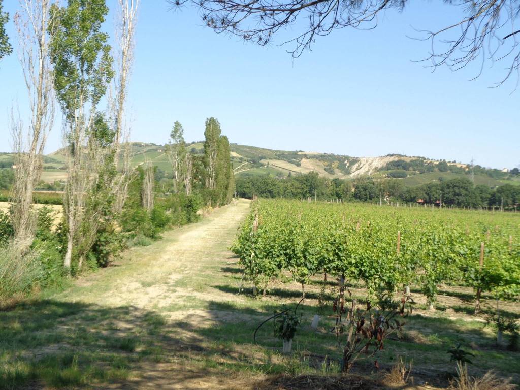 Terreno a Imola in Via Comezzano - Foto 2