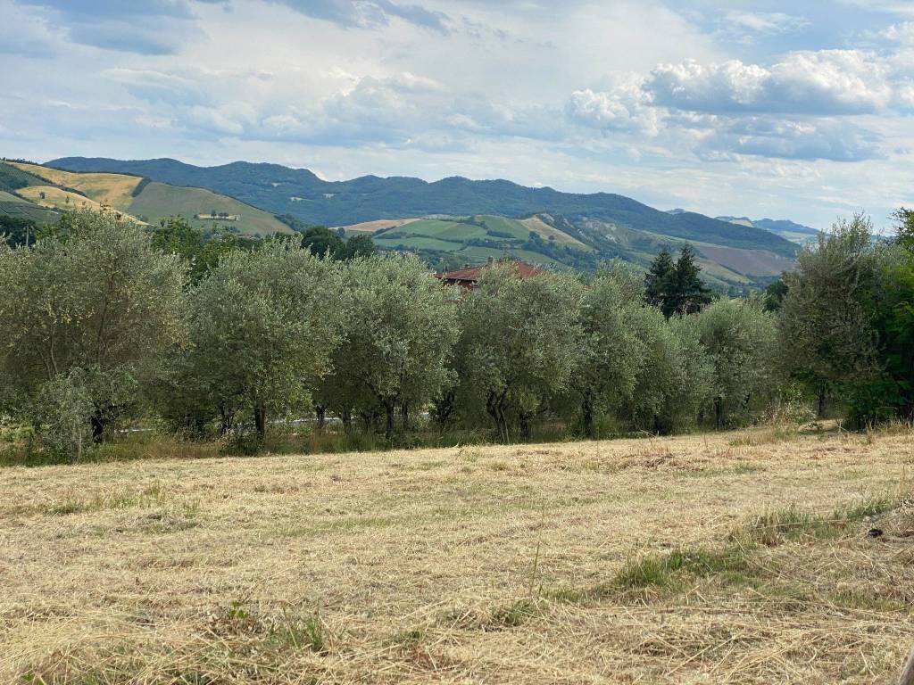 Terreno a Imola in Via Comezzano - Foto 3