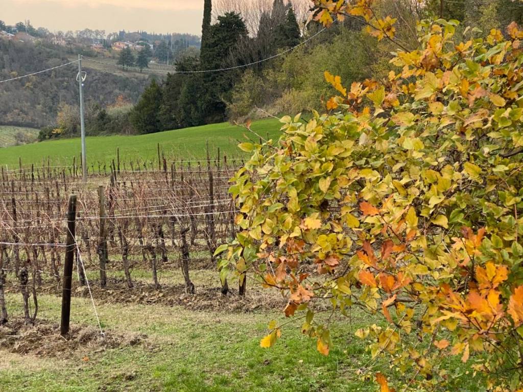 Terreno a Imola in Via Comezzano - Foto 4
