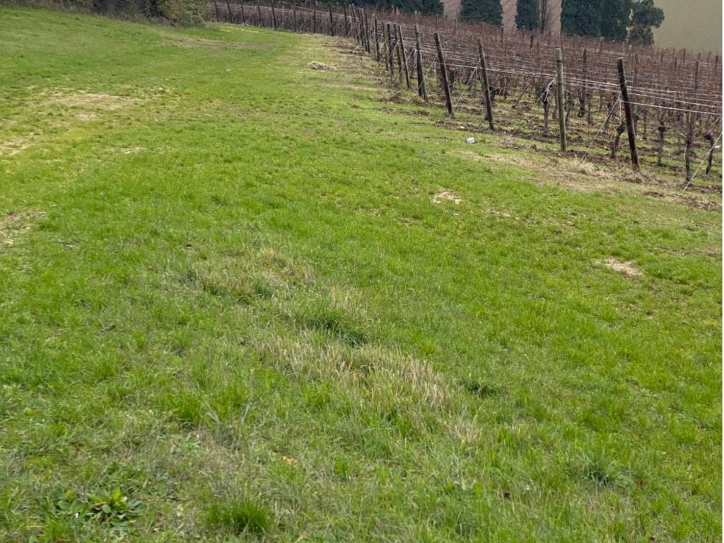 Terreno a Imola in Via Comezzano - Foto 5