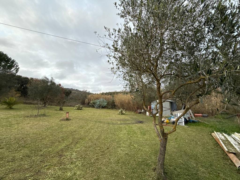 Terreno a Suvereto in Località Fontanella - Foto 3