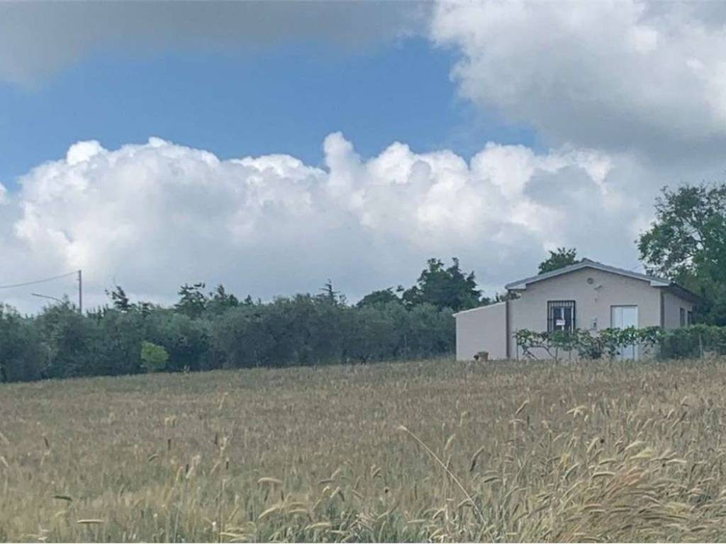 Casa indipendente a Acquaviva collecroce in Provinciale 163, 0 - Foto 4