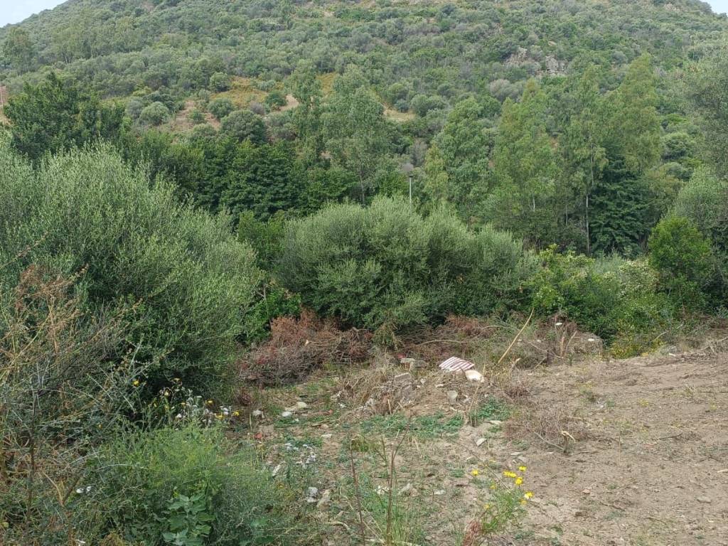Terreno a Budoni in Via Santa Chiara, 15 - Foto 2