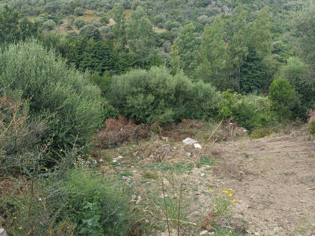 Terreno a Budoni in Via Santa Chiara, 15 - Foto 3