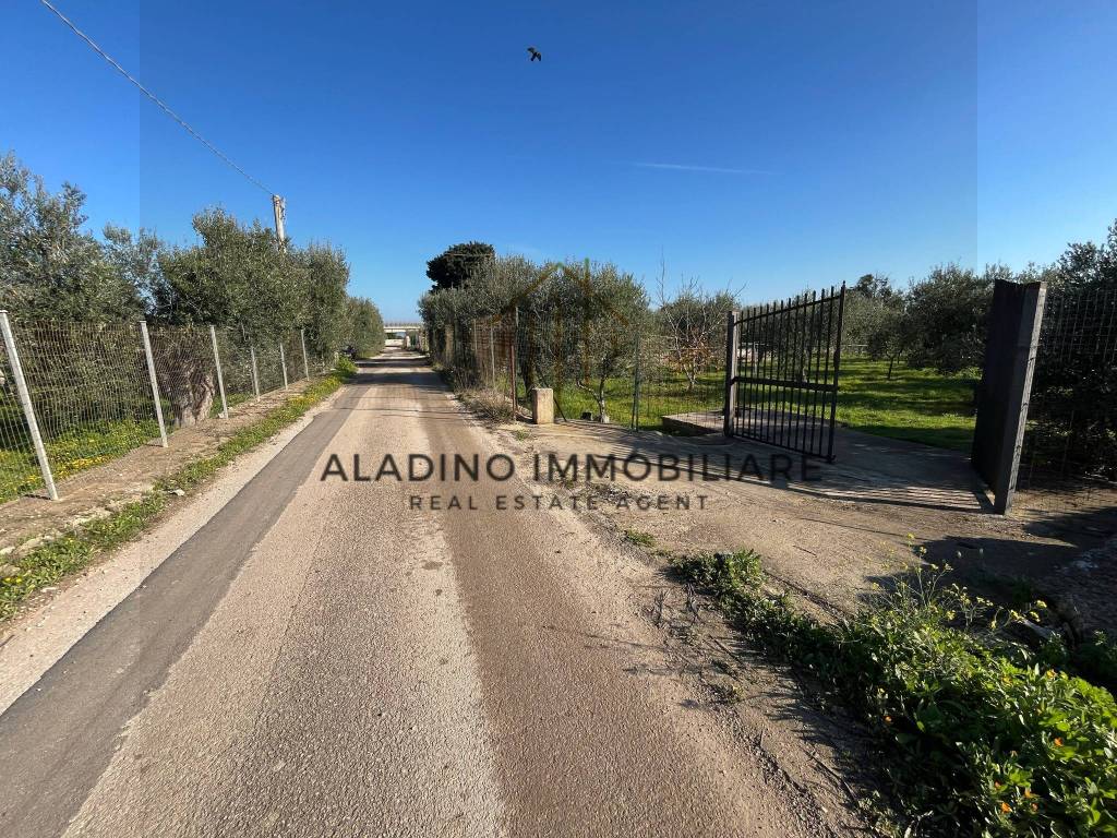 Terreno a Trani - Foto 2