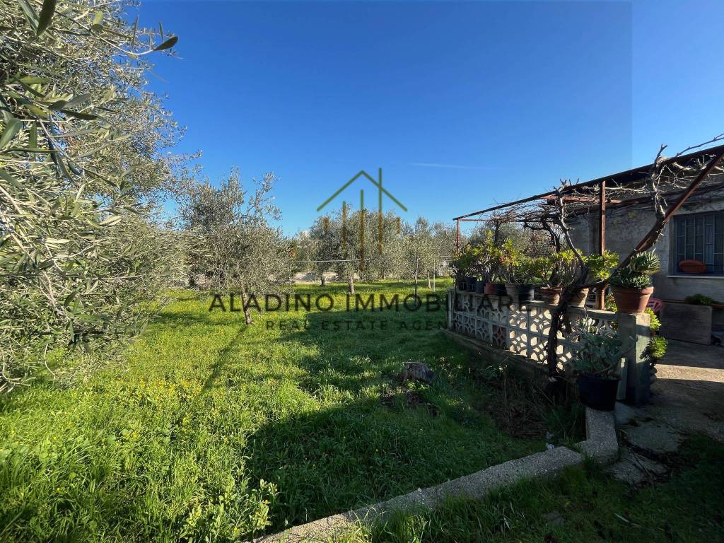 Terreno a Trani - Foto 4