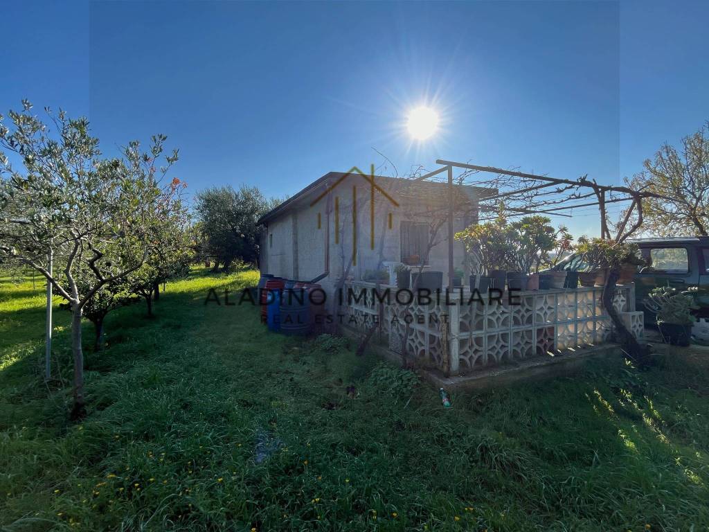 Terreno a Trani - Foto 5