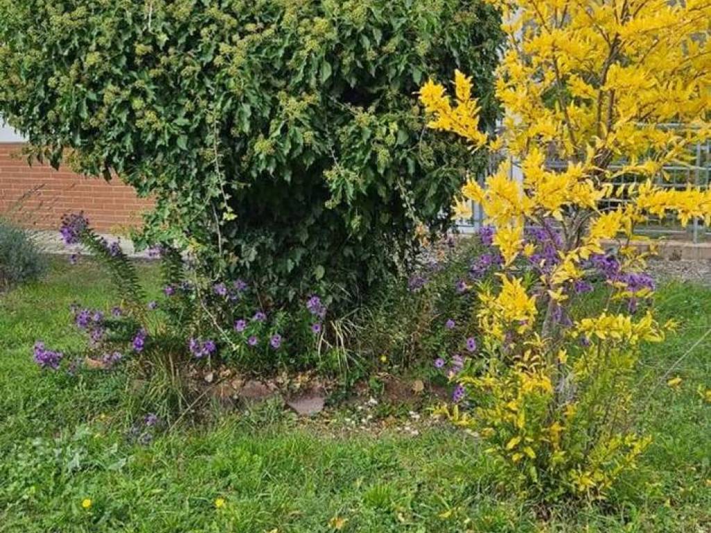 Villa a Bore in Località Silva - Foto 5