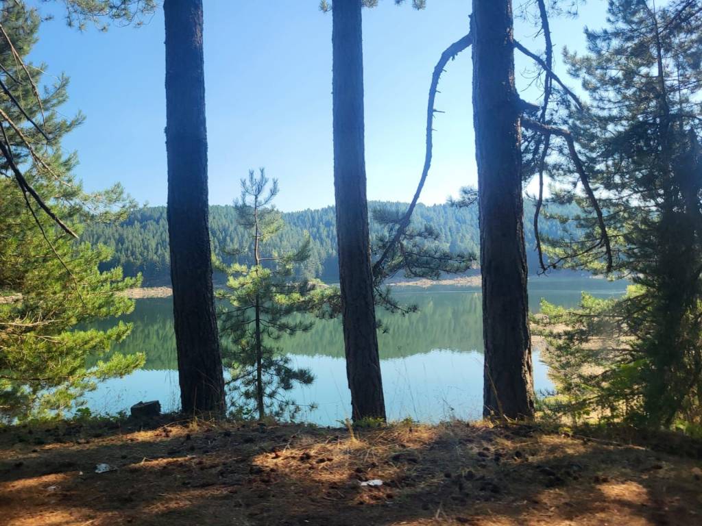 Appartamento a Cotronei in Villaggio Palumbo - Foto 5