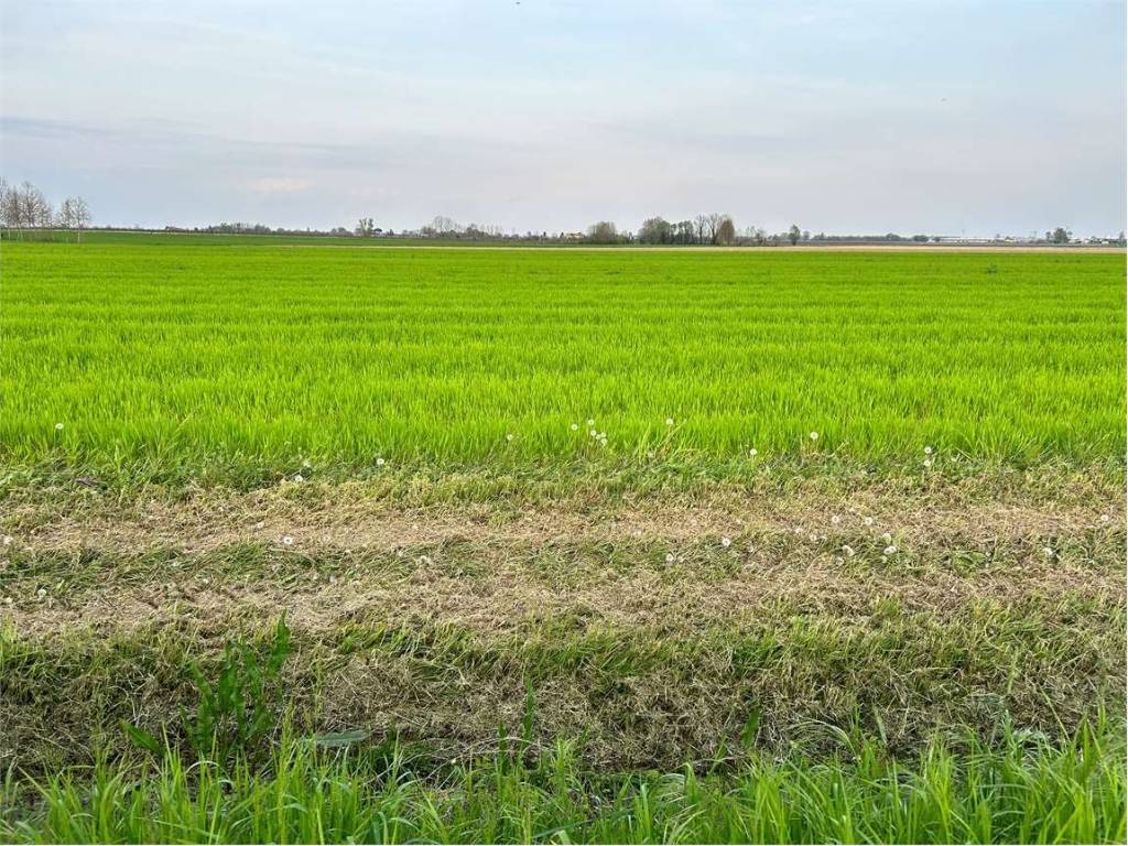 Terreno a Oderzo - Foto 4