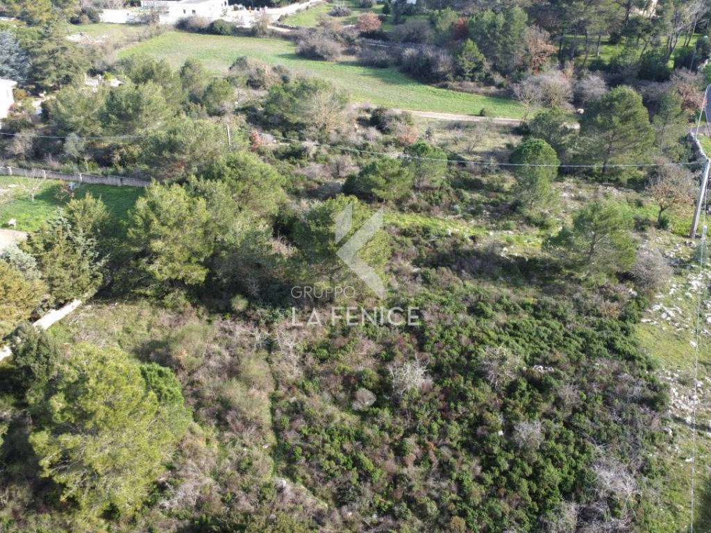 Terreno a Martina franca in strada provinciale 69 - Foto 2