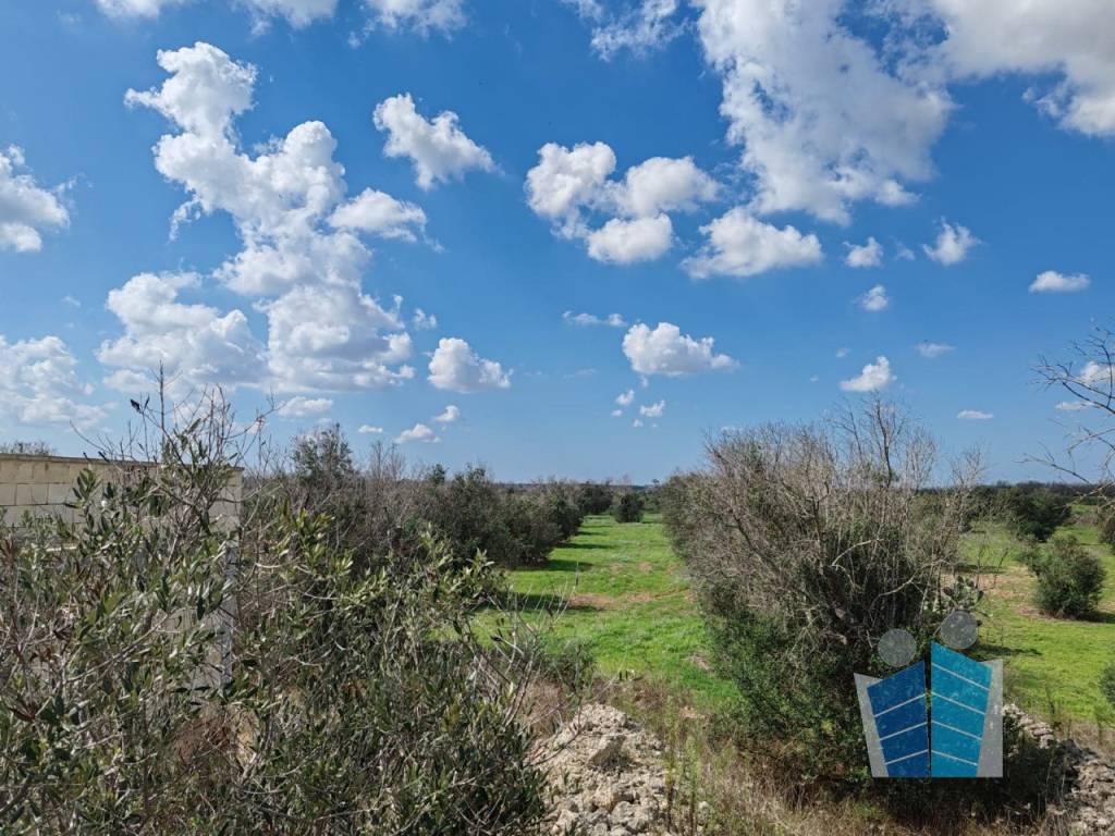 Rustico / casale a Otranto - Foto 5