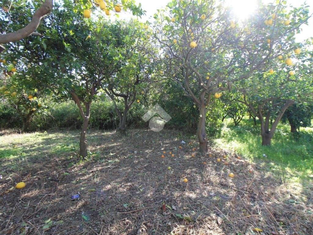 Terreno a Reggio calabria in Via Polimeni, 9 - Foto 3