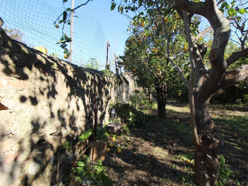 Terreno a Reggio calabria in Via Polimeni, 9 - Foto 4