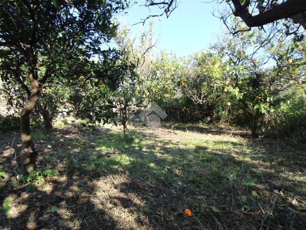 Terreno a Reggio calabria in Via Polimeni, 9 - Foto 5