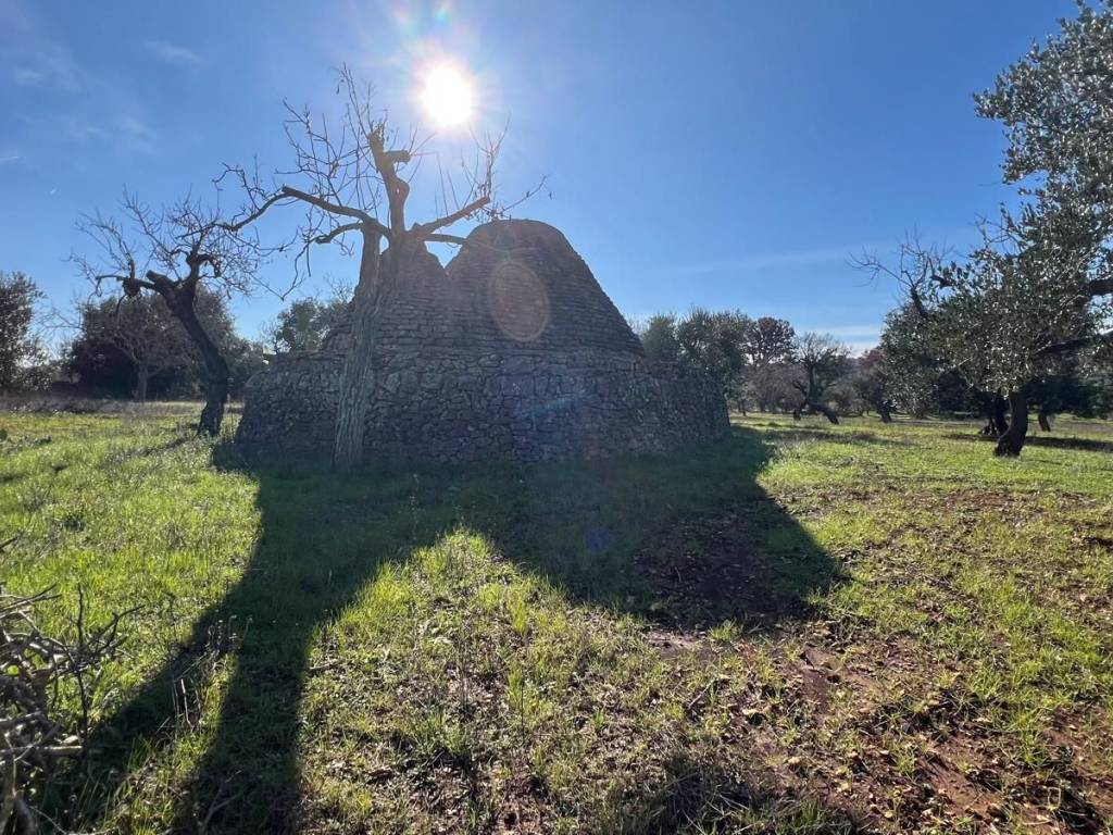 Rustico / casale a Ceglie messapica in Contrada Recupero - Foto 3