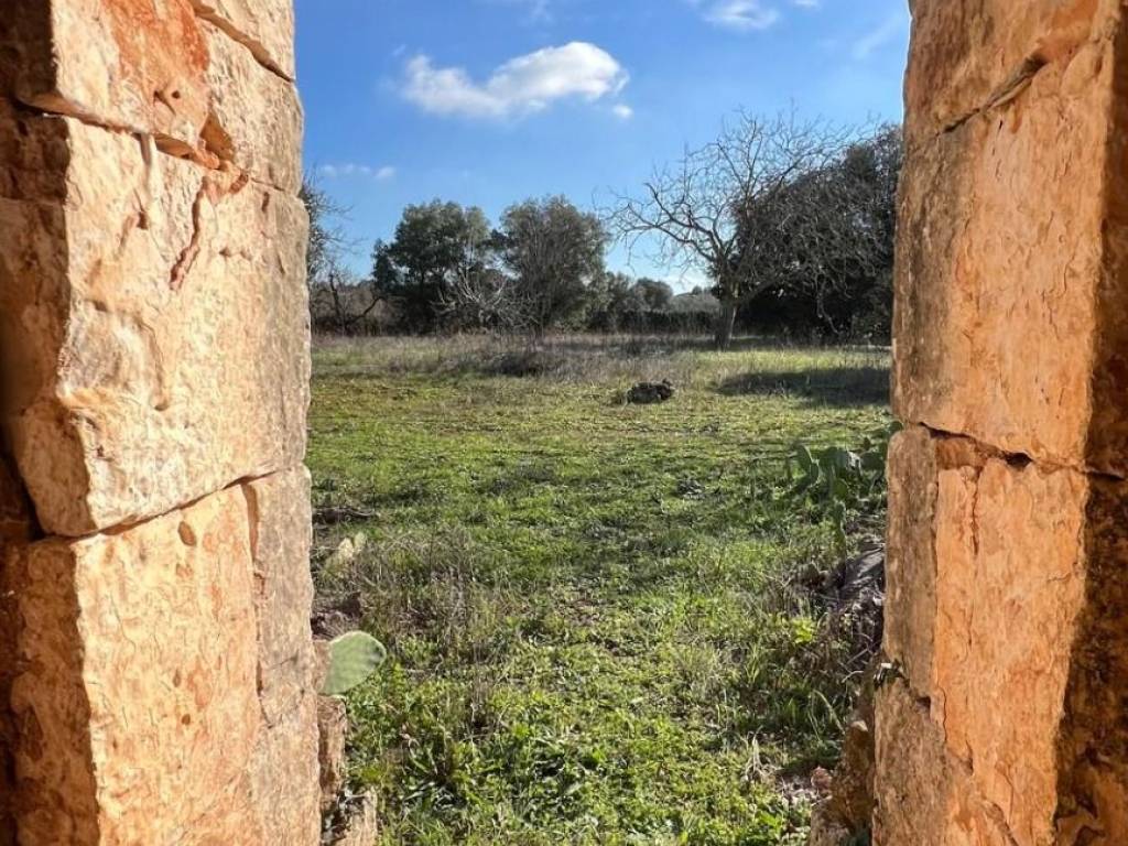 Rustico / casale a Ceglie messapica in Contrada Recupero - Foto 5