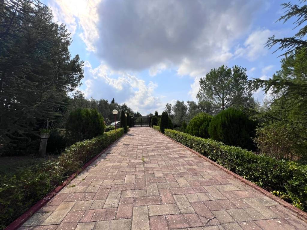 Villa a Terlizzi in contrada vigne paù - Foto 2