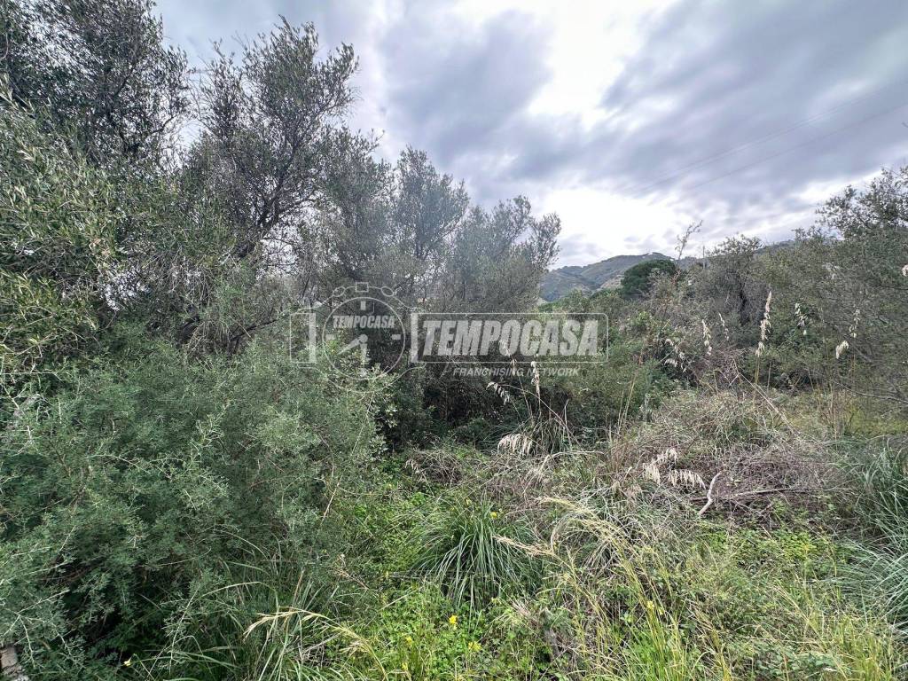 Terreno a Messina in Località Rodia 3 - Foto 4
