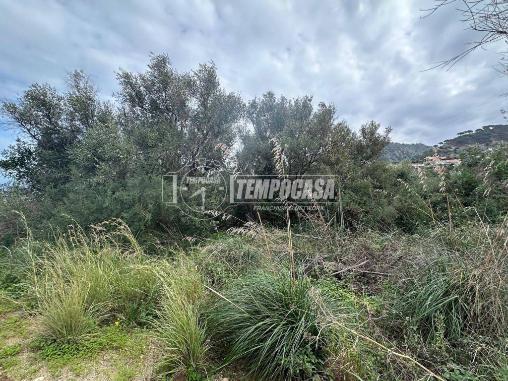 Terreno a Messina in Località Rodia 3 - Foto 5