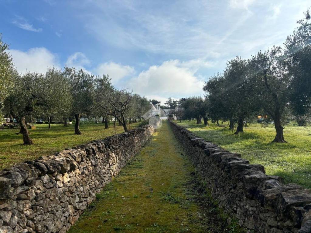 Rustico / casale a Martina franca in Via Locorotondo, 103 - Foto 2