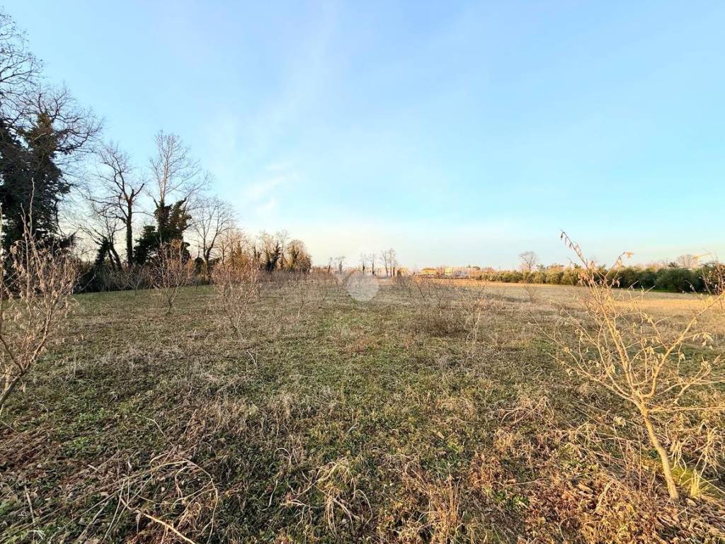 Terreno a Campoformido in Via orgnano, 4 - Foto 3