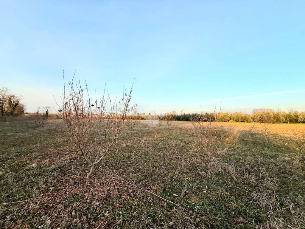 Terreno a Campoformido in Via orgnano, 4 - Foto 4